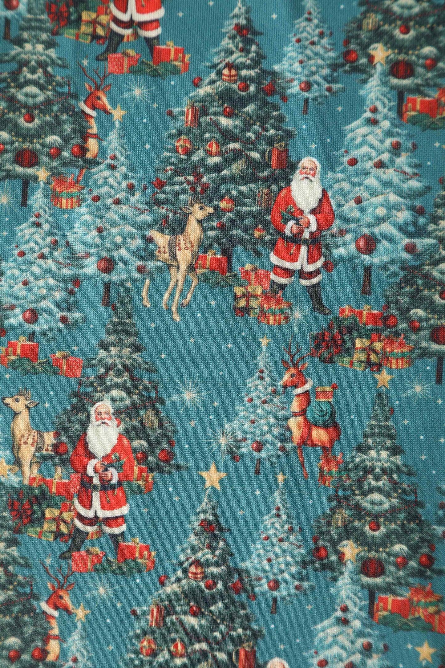 Lily Santa & Reindeer Green Circle Dress
