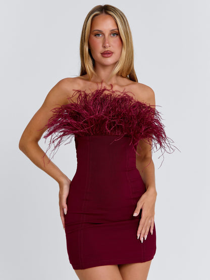 Shona Mini Dress Burgundy