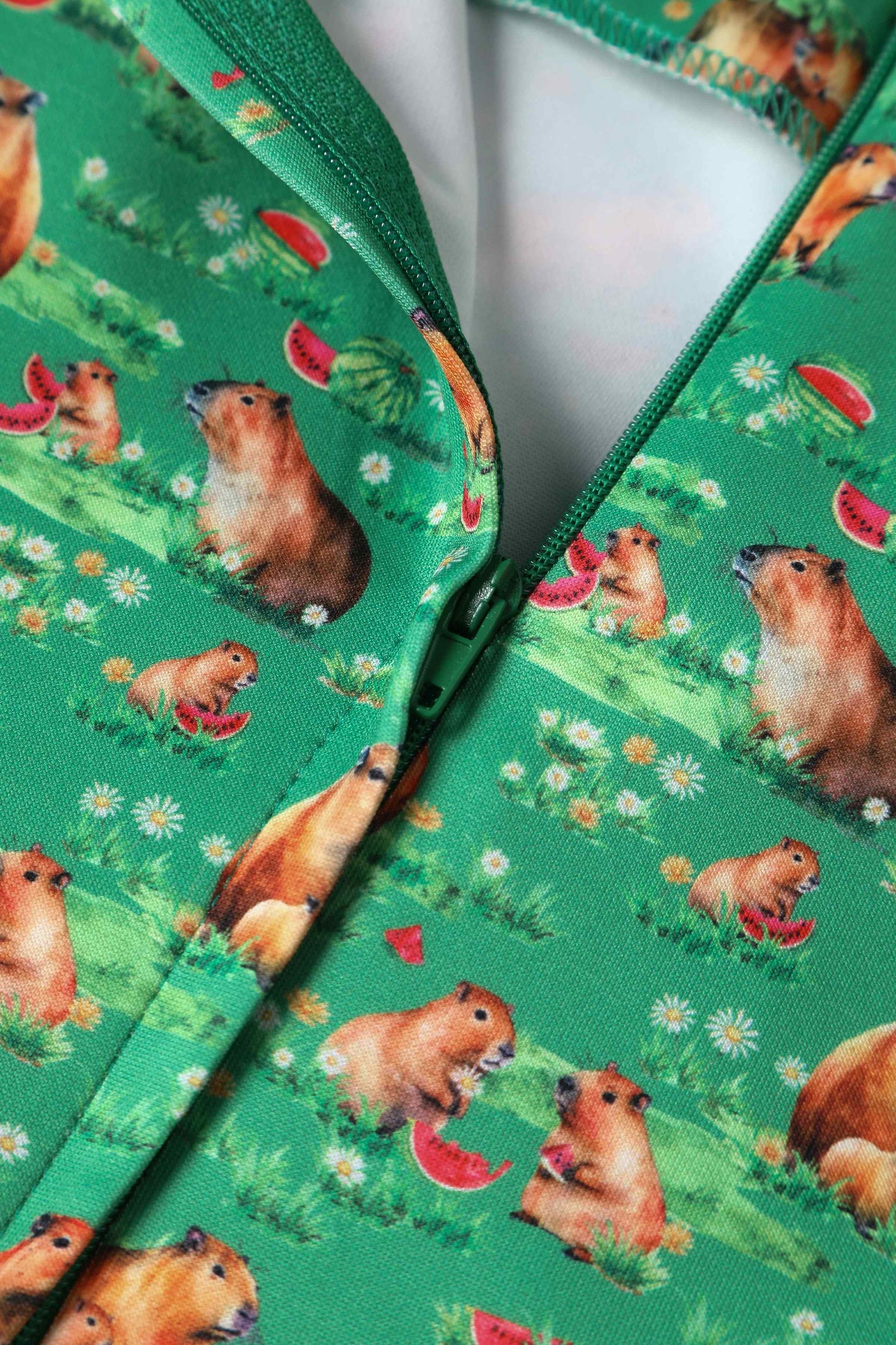 Amanda Green Flared Dress in Capybara Watermelon Print