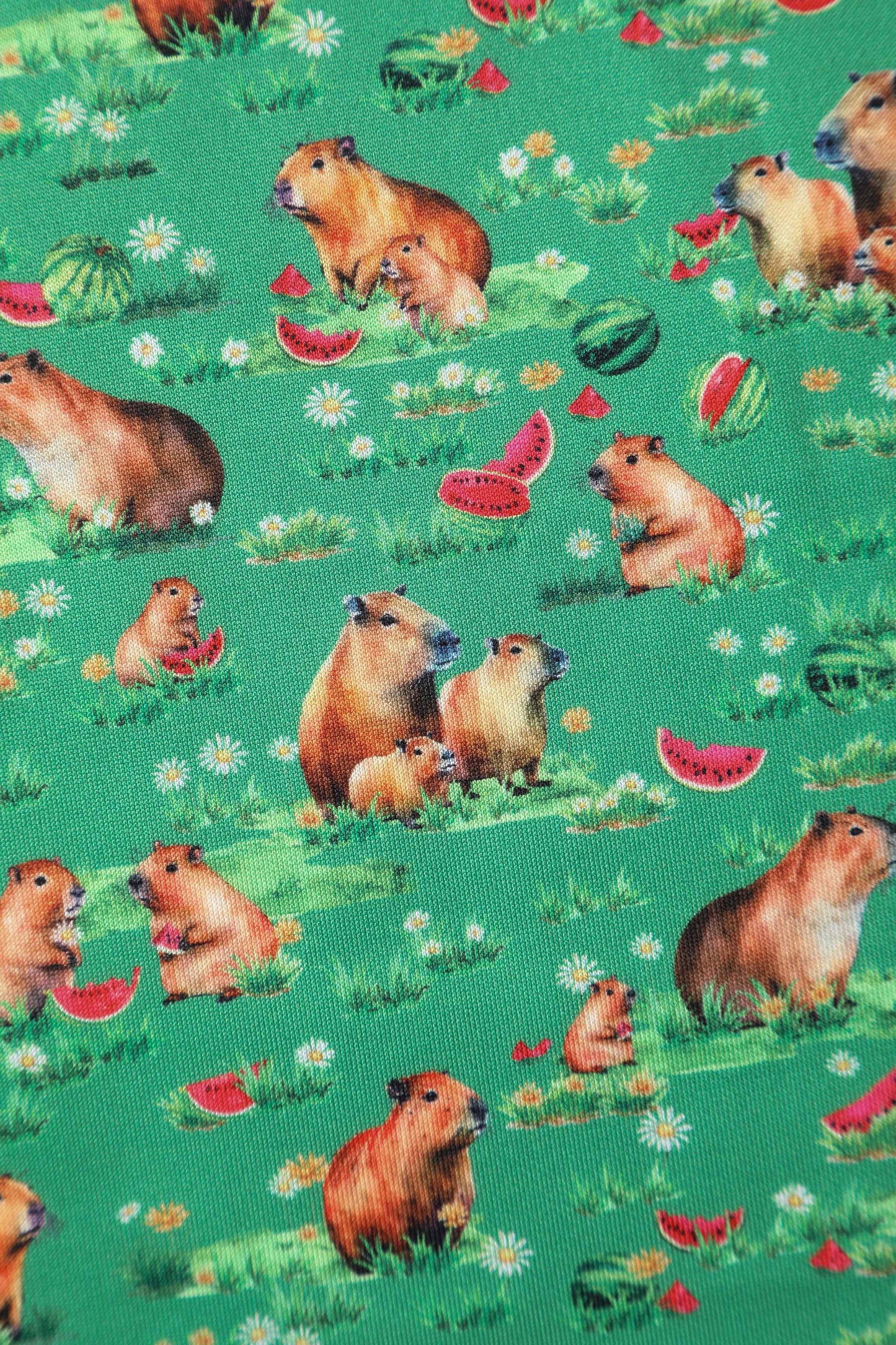 Amanda Green Flared Dress in Capybara Watermelon Print
