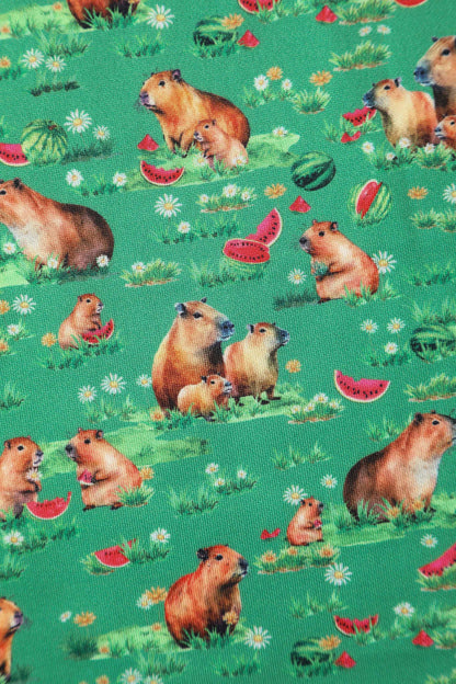 Amanda Green Flared Dress in Capybara Watermelon Print