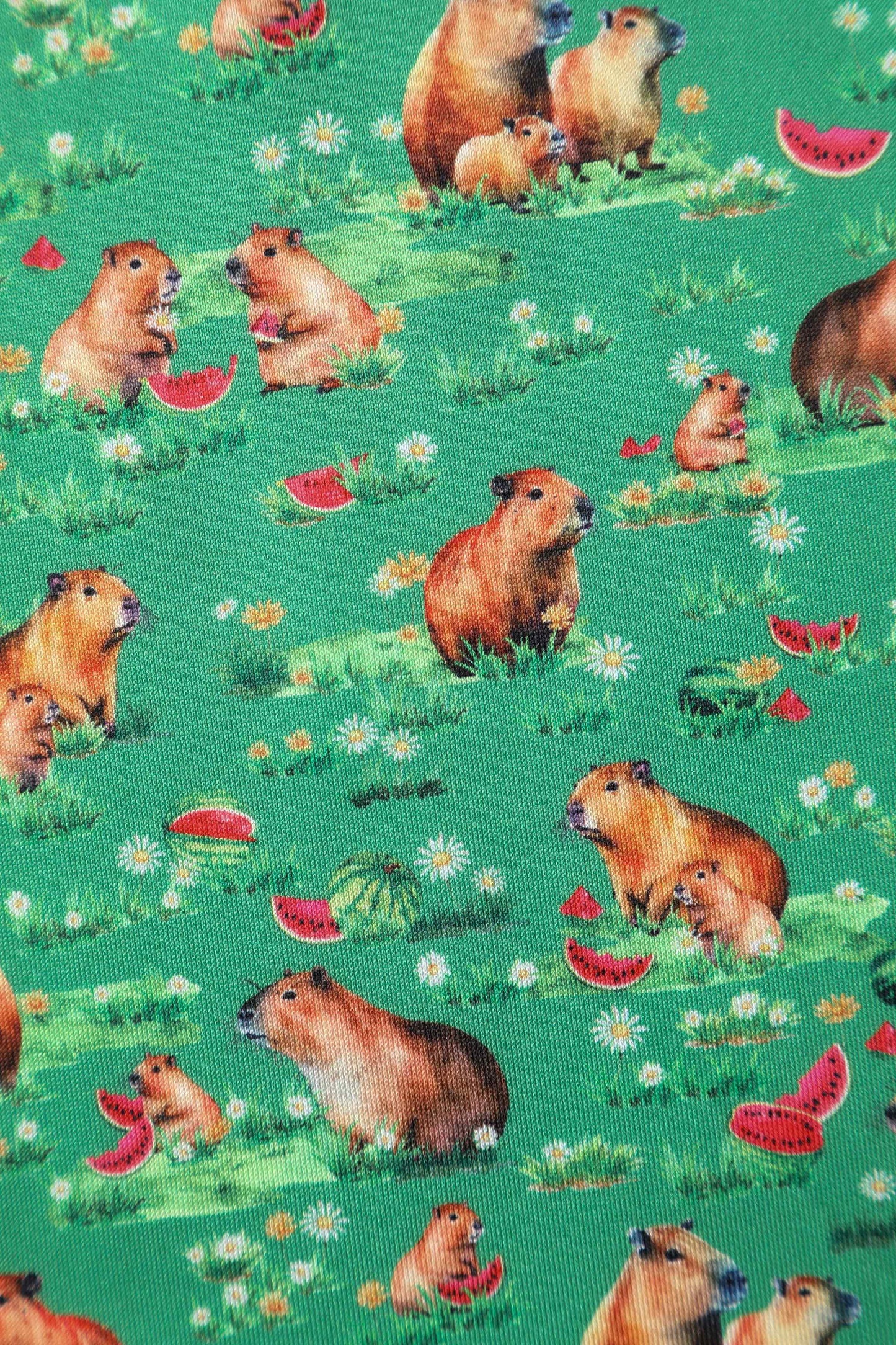 Amanda Green Flared Dress in Capybara Watermelon Print