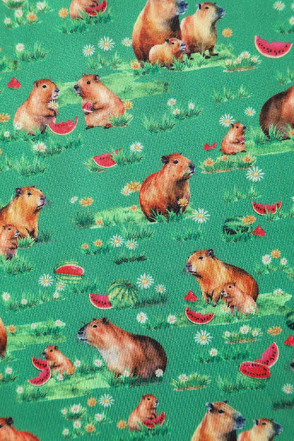 Amanda Green Flared Dress in Capybara Watermelon Print