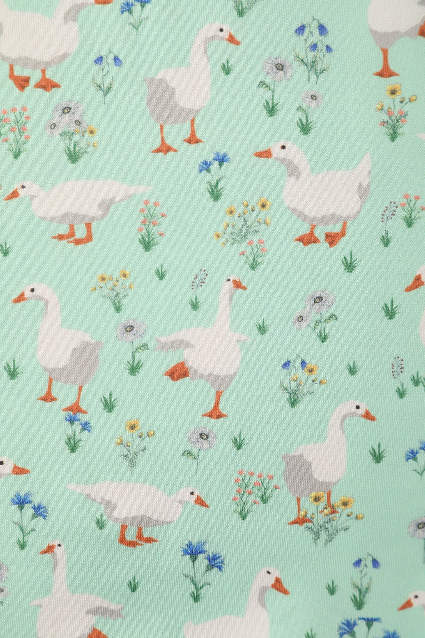 Amanda Mint Green Duck Swing Dress