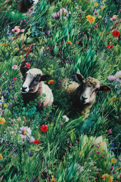 Lily Sheep Field Off Shoulder Dress